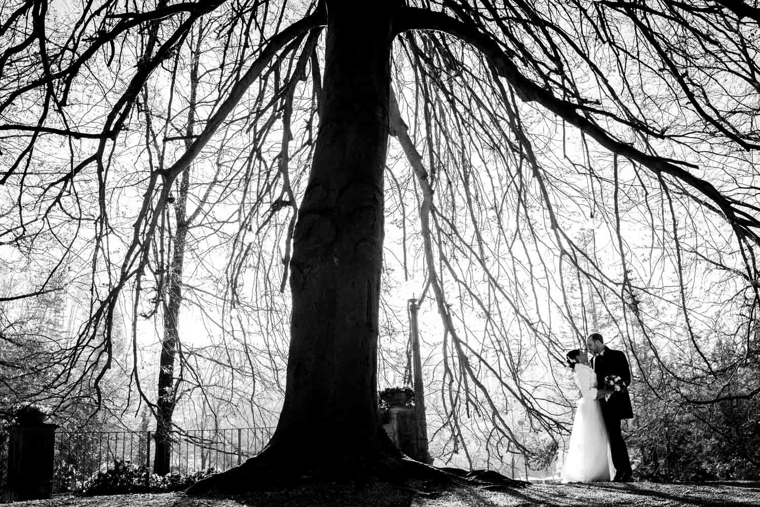 art foto fotografo matrimoni torino fontana fredda alba